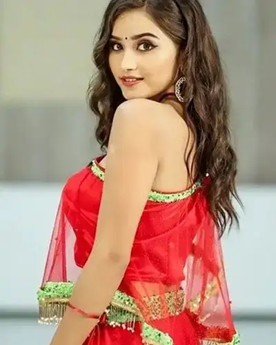 Call Girl Service in Arera Colony